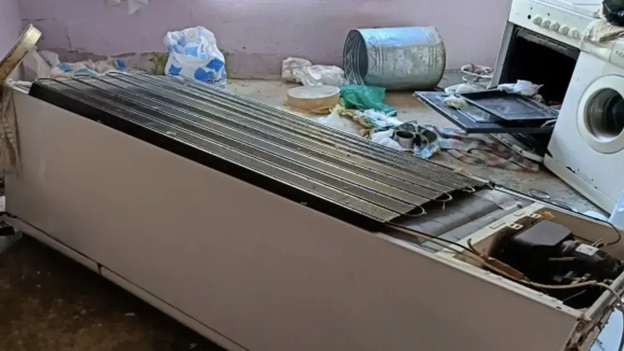 trabzonda-ayilar-evlerin-kapisini-kirdi