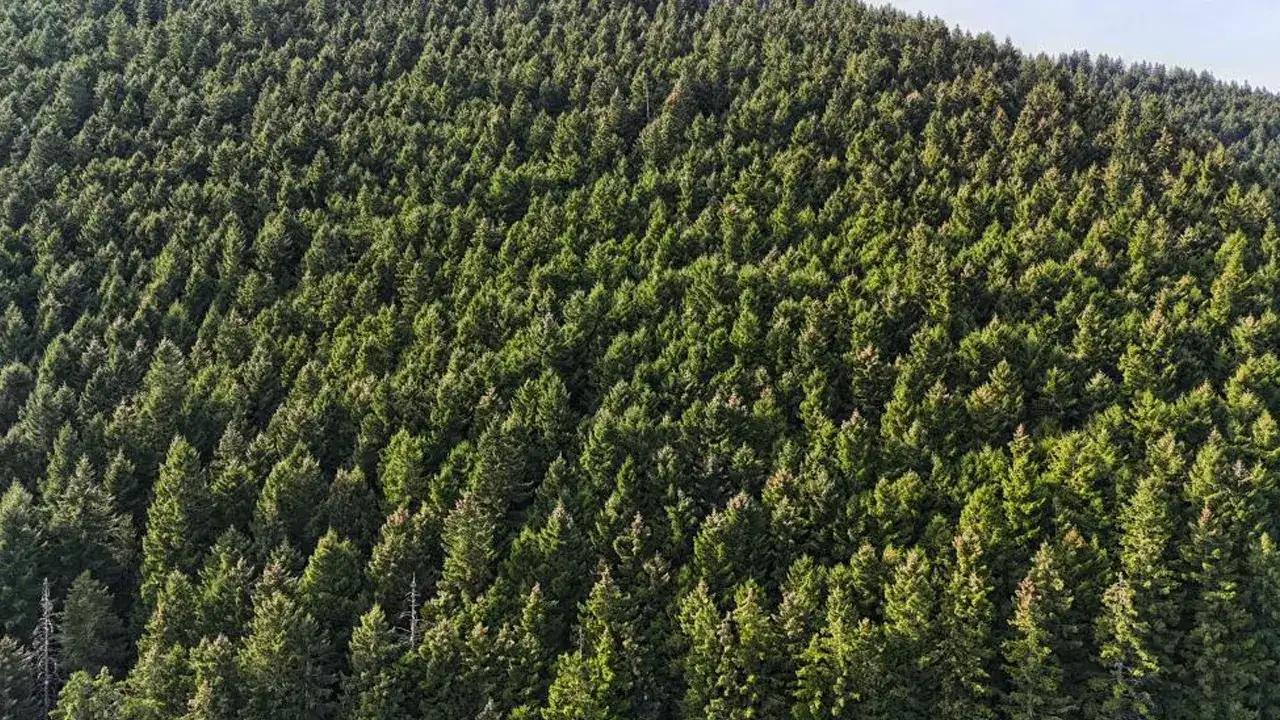 trabzonun-incisi-uzungolde-sonbahar-renkleri-gorenleri-hayran-birakiyor