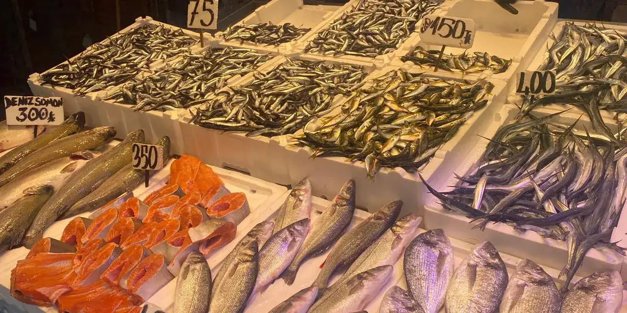 trabzinda-balik-fiyatlari