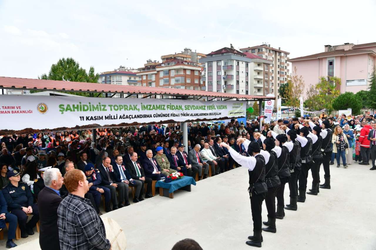 trabzon-agaclandirma