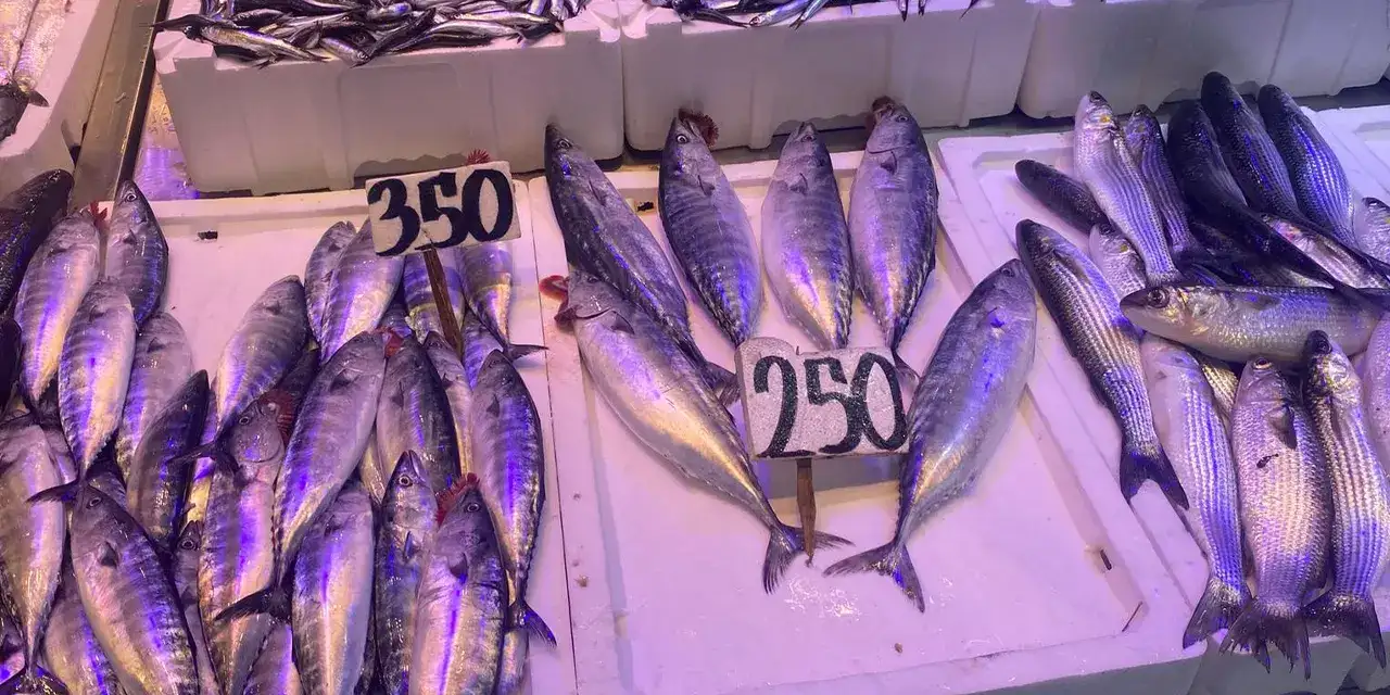 trabzonda-balik-fiyatlari-azaldi