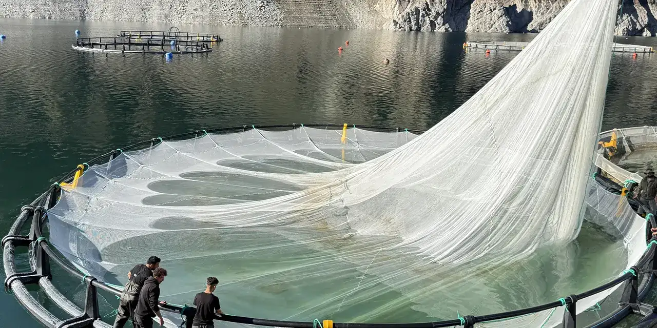 artvinde-balik-ihracati