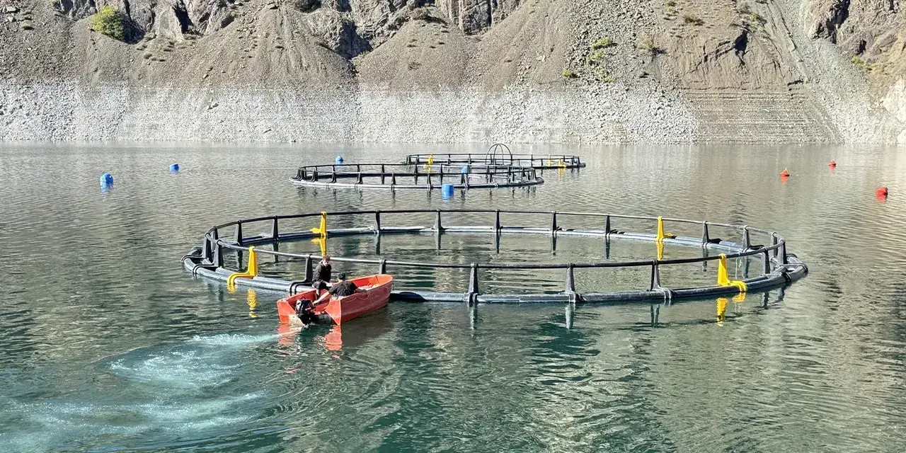 artvinde-balik-ihracatii-aa