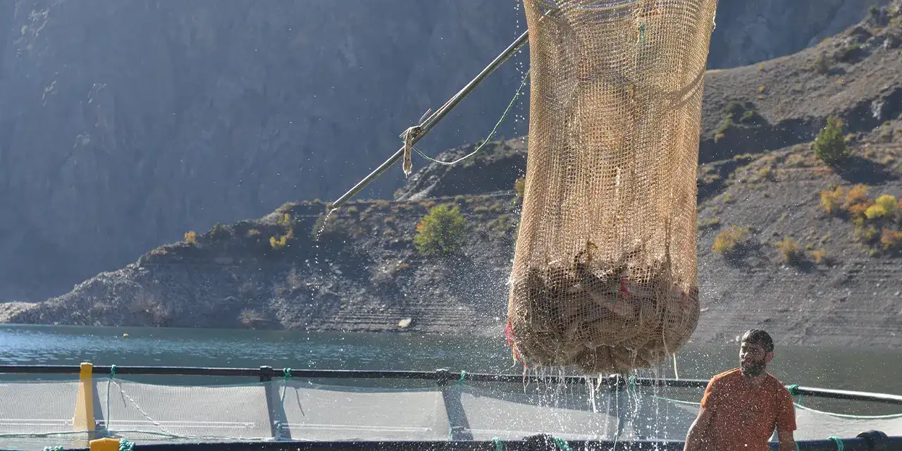 artvinde-balik-ihracatii-aa