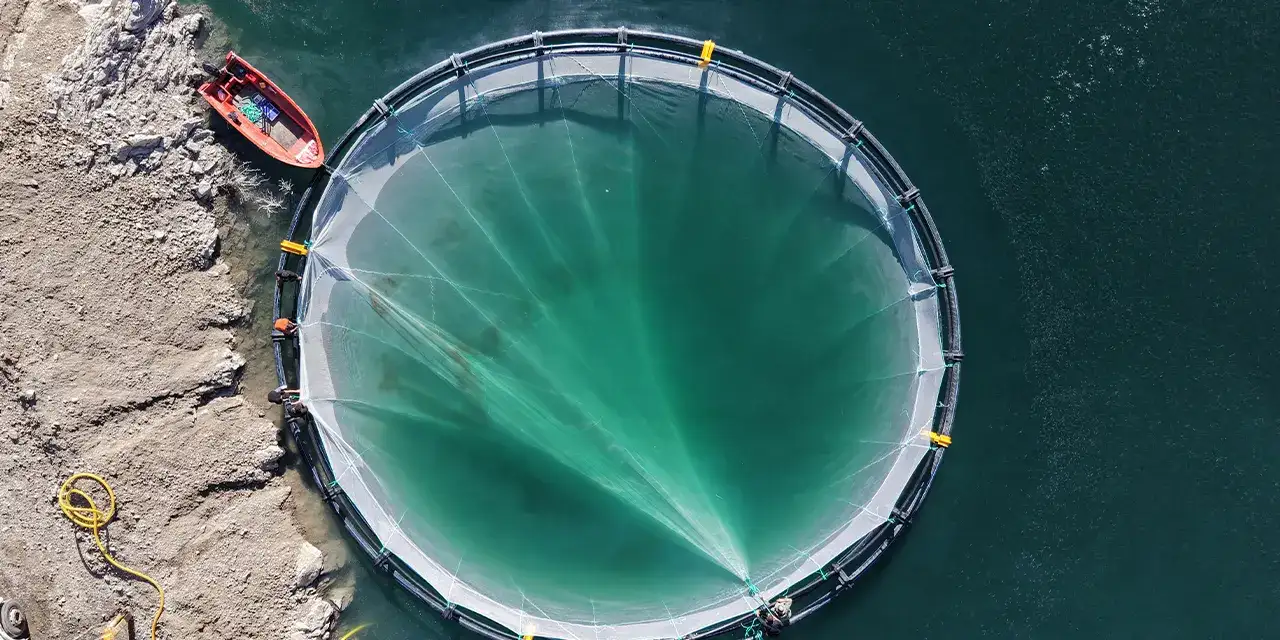 artvinde-balik-ihracatiii-aa