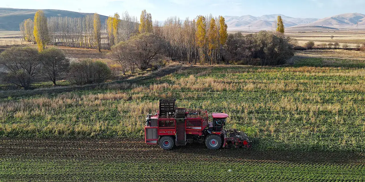 bayburtta-seker-hasadi-devam-ediyor