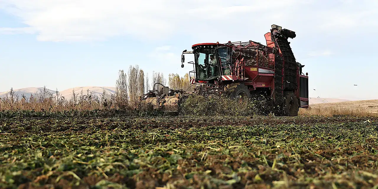 bayburtta-seker-pancari