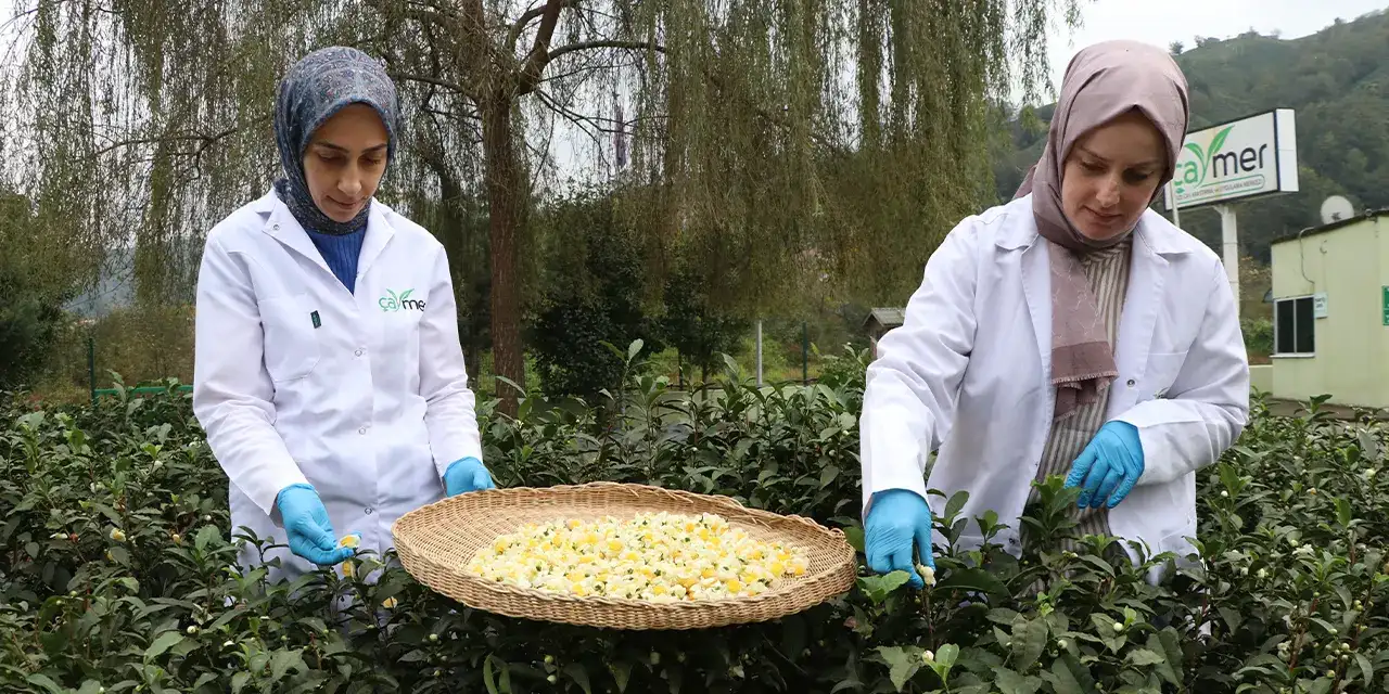 rizede-caymer-uretim