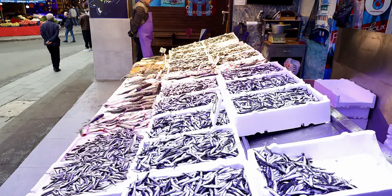 trabzonda-hamsi-berkeeti-aa