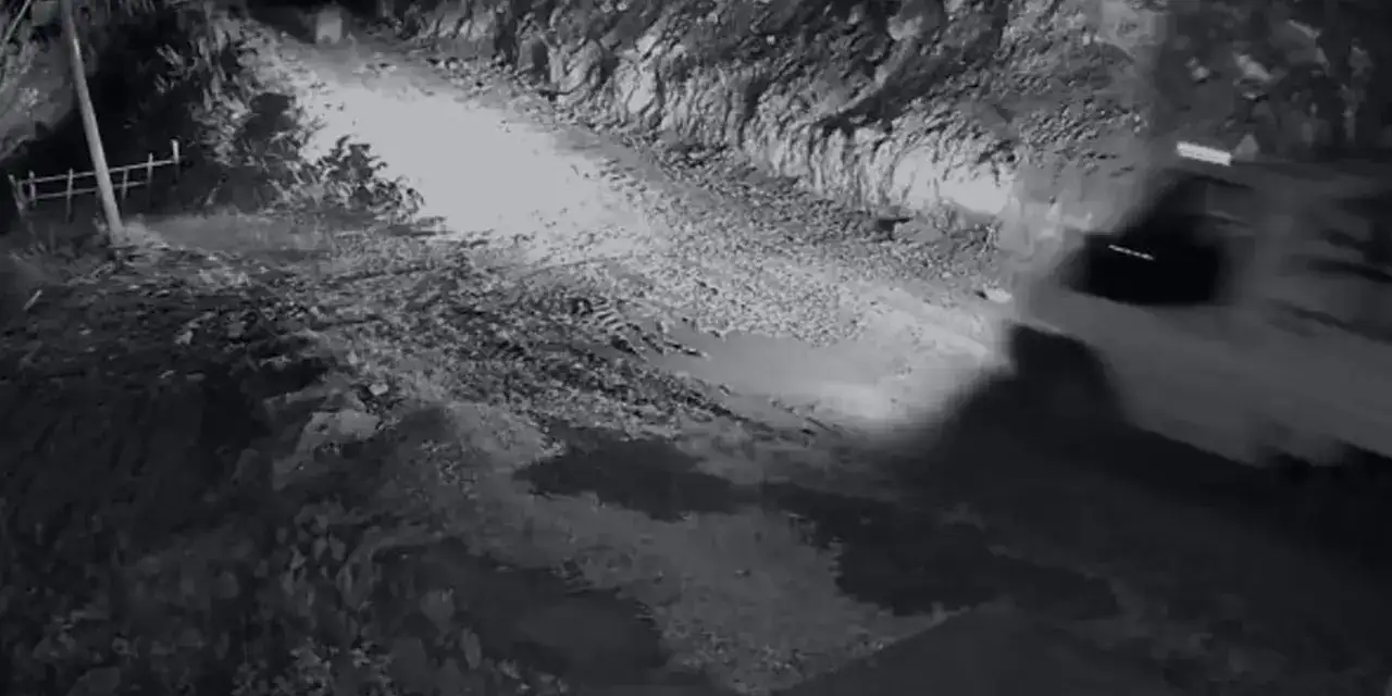 trabzonda-ayi-panigi-aa