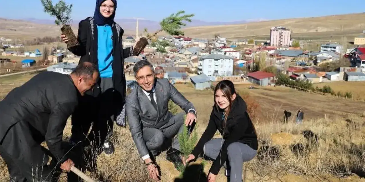 bayburtta-fidan-300-adet