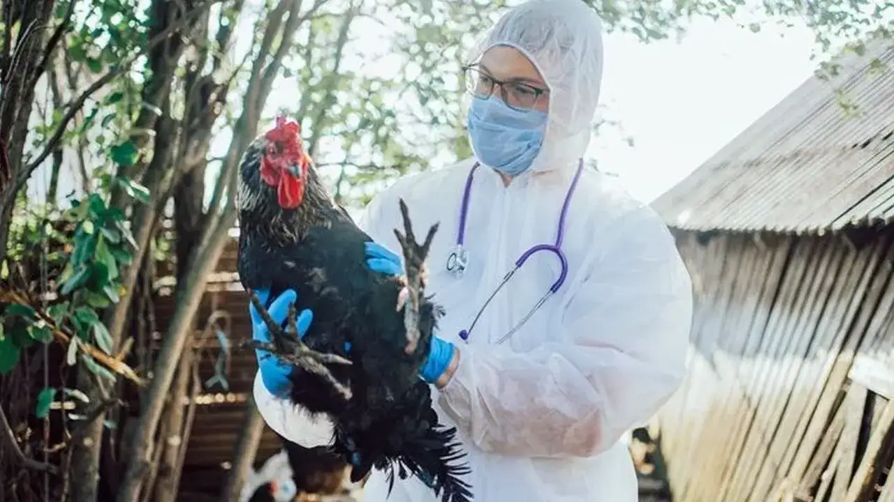 dunya-alarma-gecti-salgin-ilk-kez-can-aldi