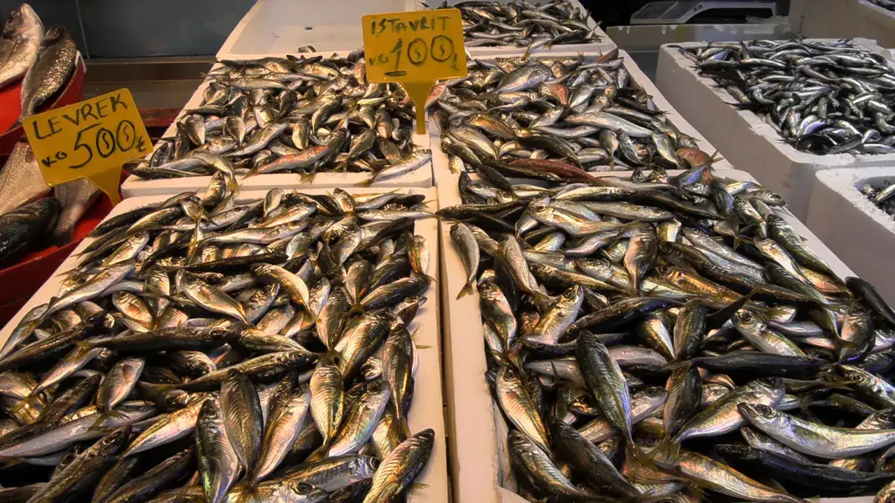 trabzonda-hamsiye-ilgi-yukseldi-iste-tezgahta-son-durum