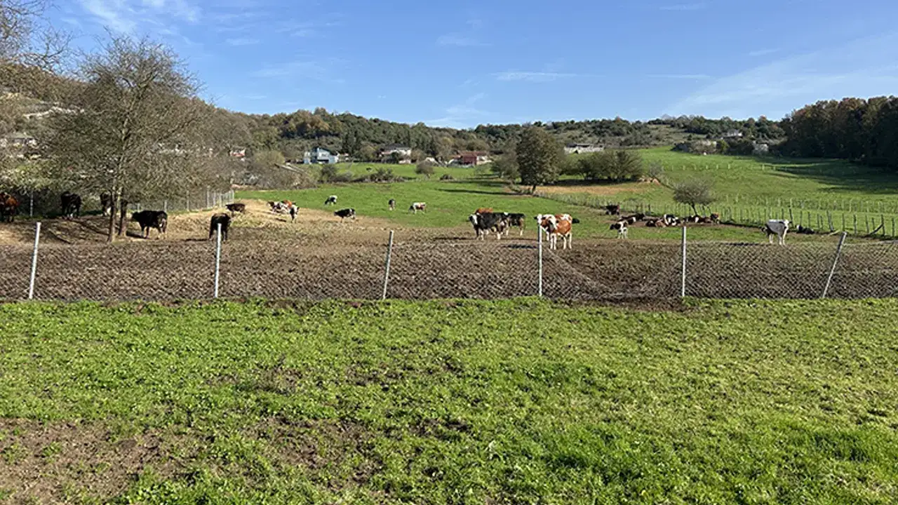 trabzonu-aratmayan-mahalle