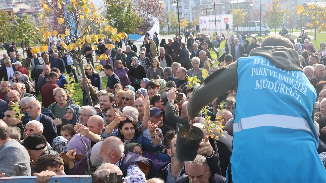 yomra-fidan-etkinligi