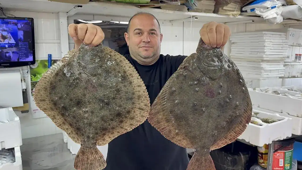 karadenizde-tezgahlar-bereketlendi-balik-turleri-cesitlendi