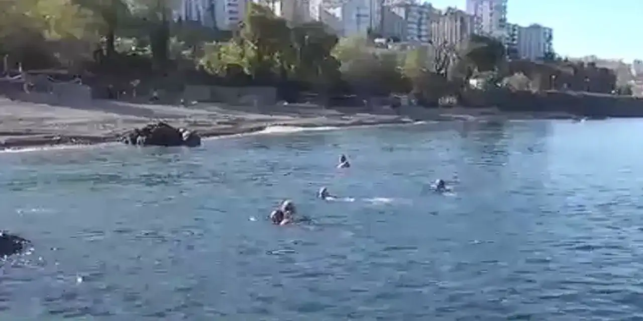 giresunda-saglik-icin-yuzduler