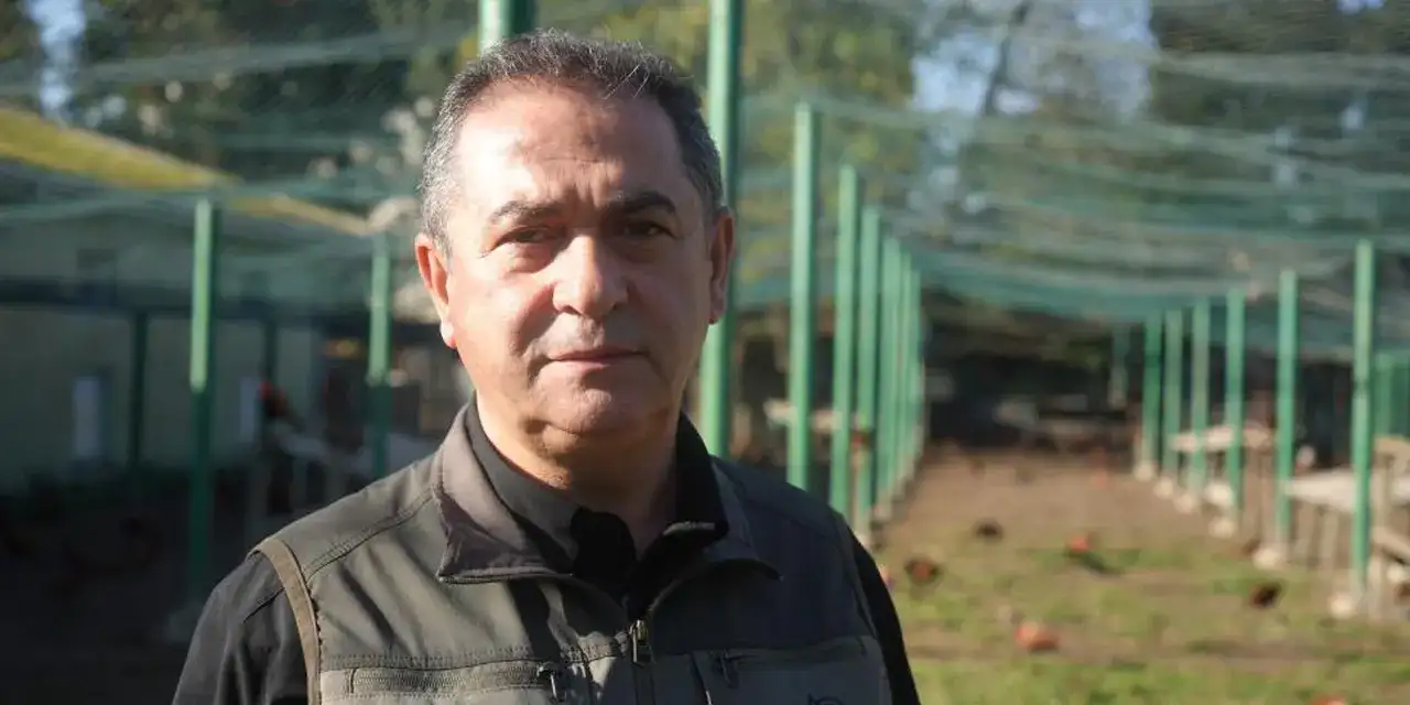 samsunda-kokarcayla-mucadele