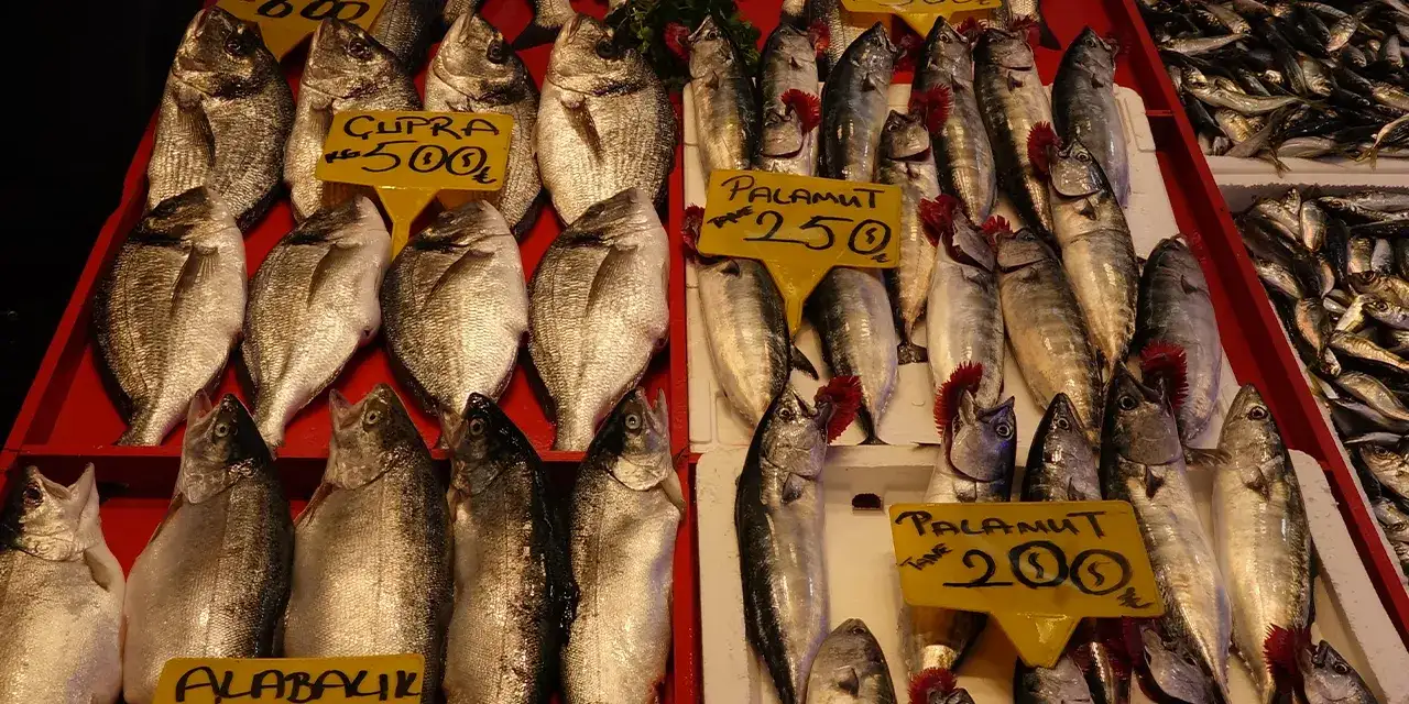 trabzonda-hamsi-bereketi-a