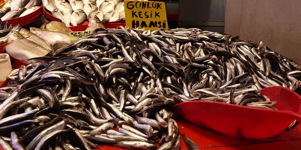 trabzonda-hamsi-bereketi