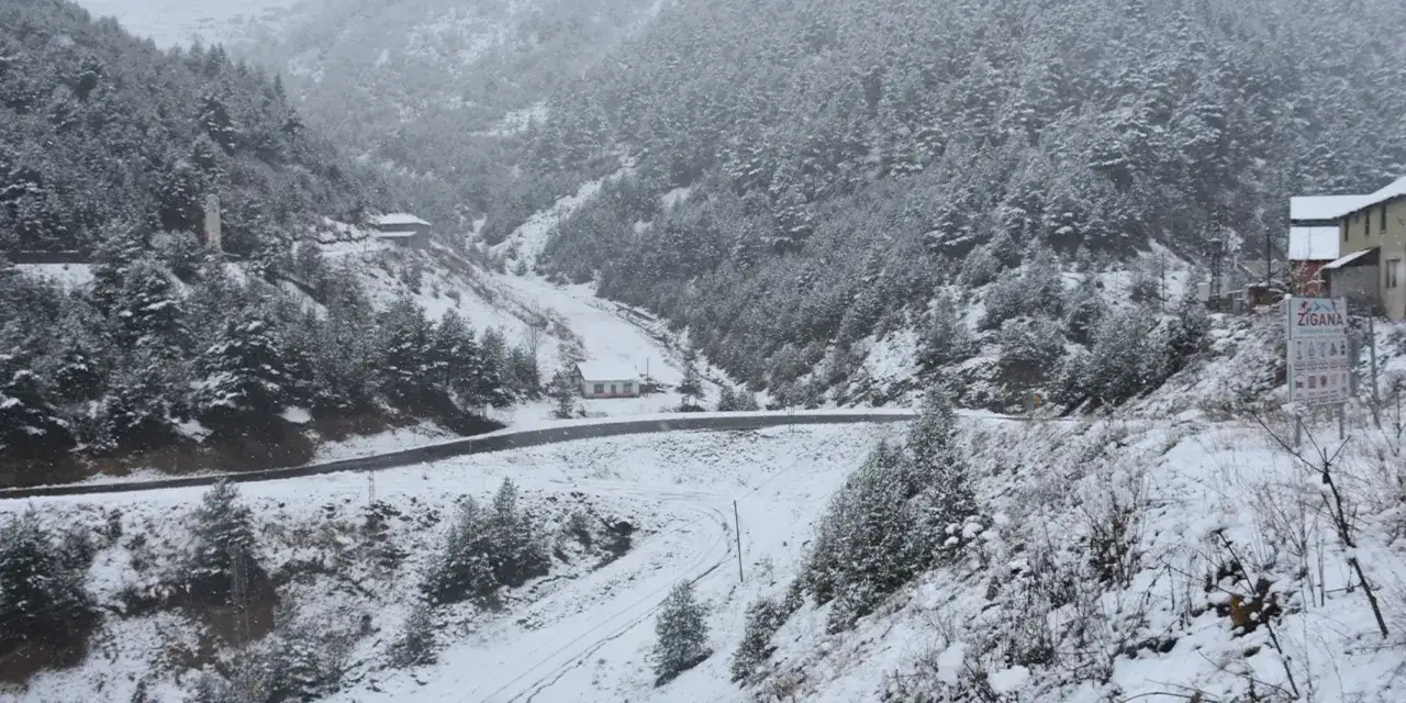 zigana-dagi-karla-kaplandiii