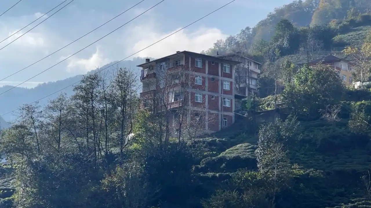 rize