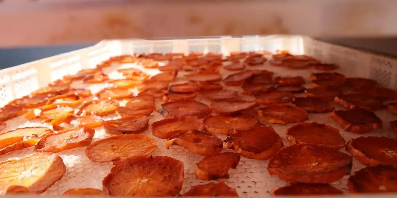 adanada-cennet-hurmasi