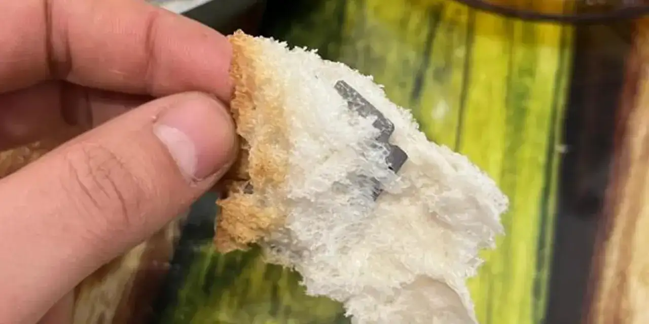 ekmekten-jilet-cikti