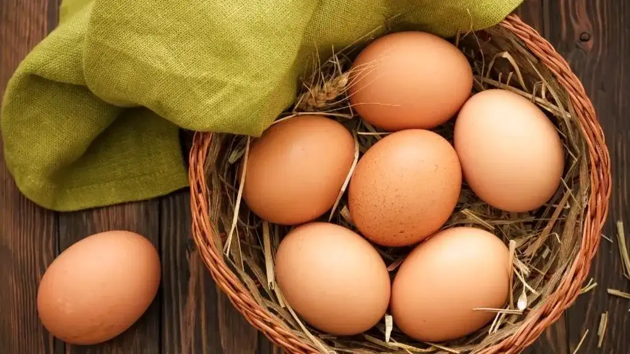 ruyada-yumurta-gormek