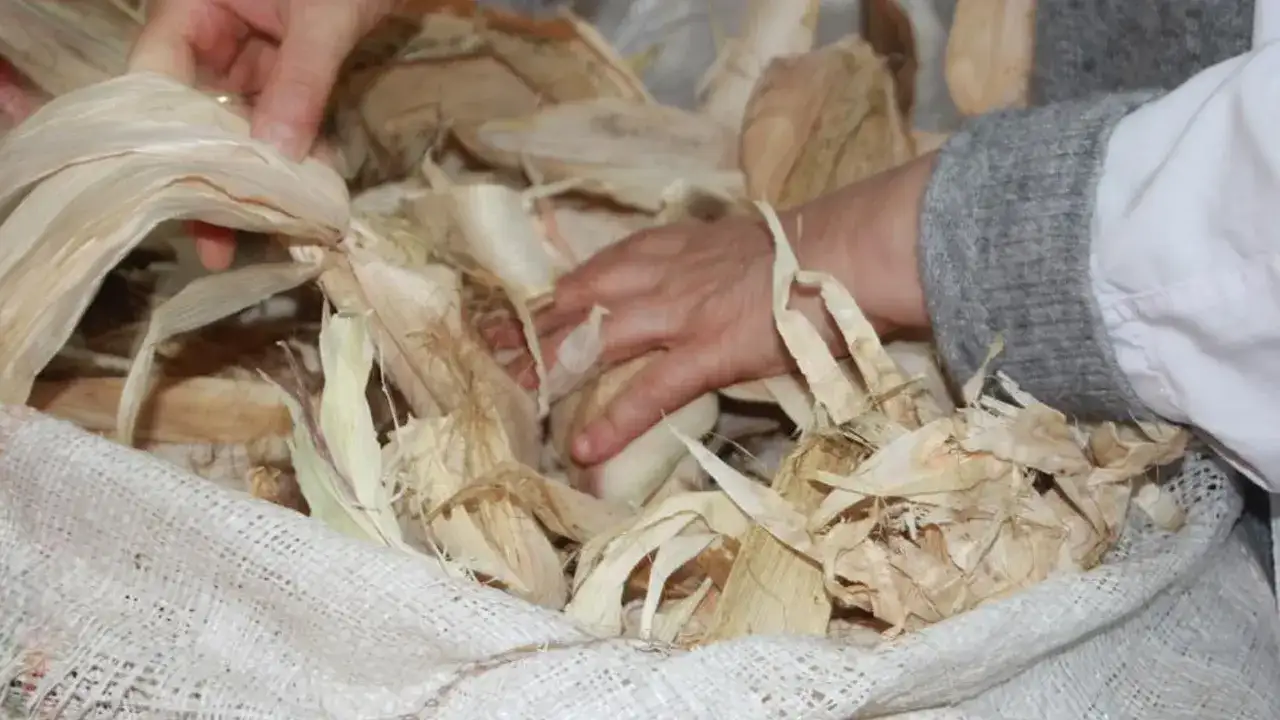 orduda-toprak-mirasi-misirlarin-kabuklari-kadinlarin-elinde-hayat-buldu