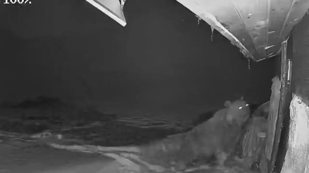 trabzonda-yayla-evlerine-saldirilar-suruyor-tedirginlik-hakim