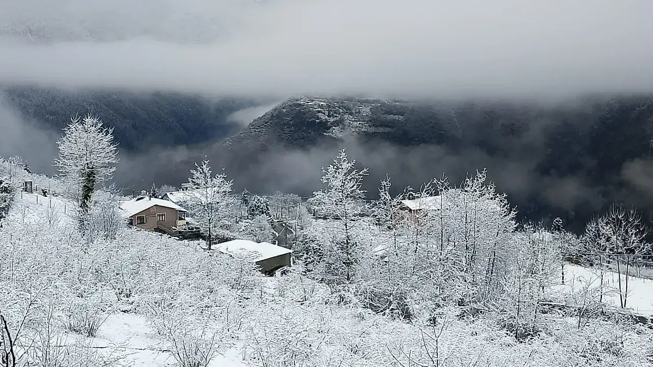 karpostallik-manzara