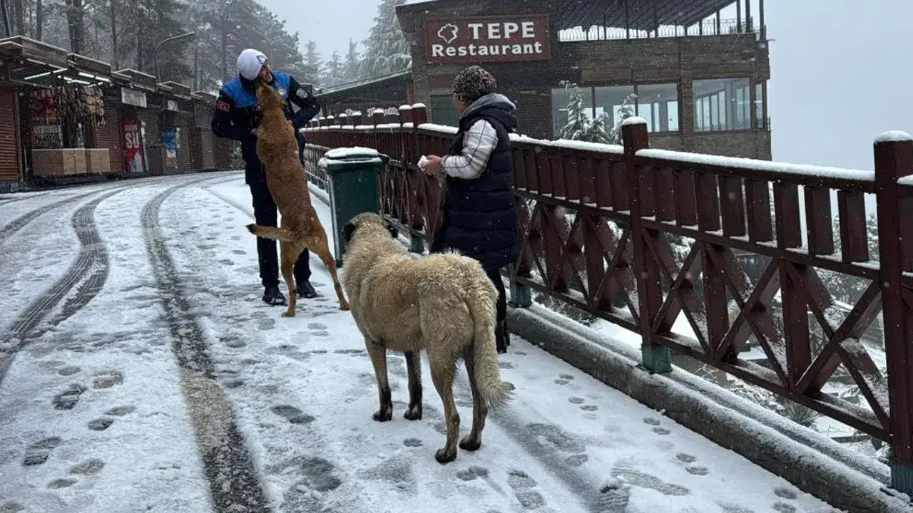 orduda-boztepe-beyaz-gelinligini-giydi