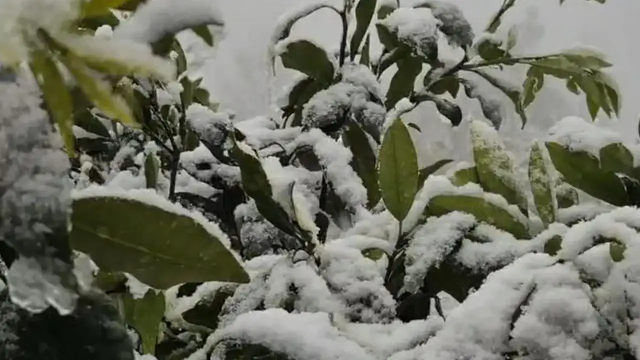 rizede-kar-kendini-gosterdi