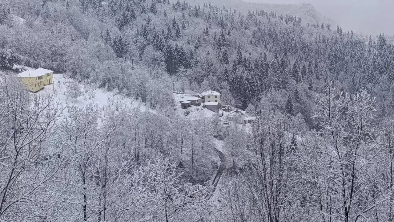 kar-alarmoi-trabzonn