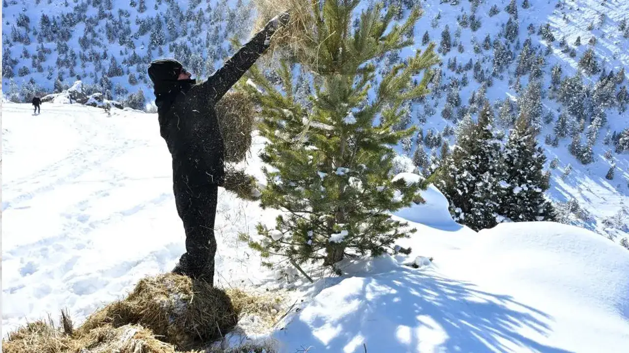 gumushane-yem-kbiraktilsd