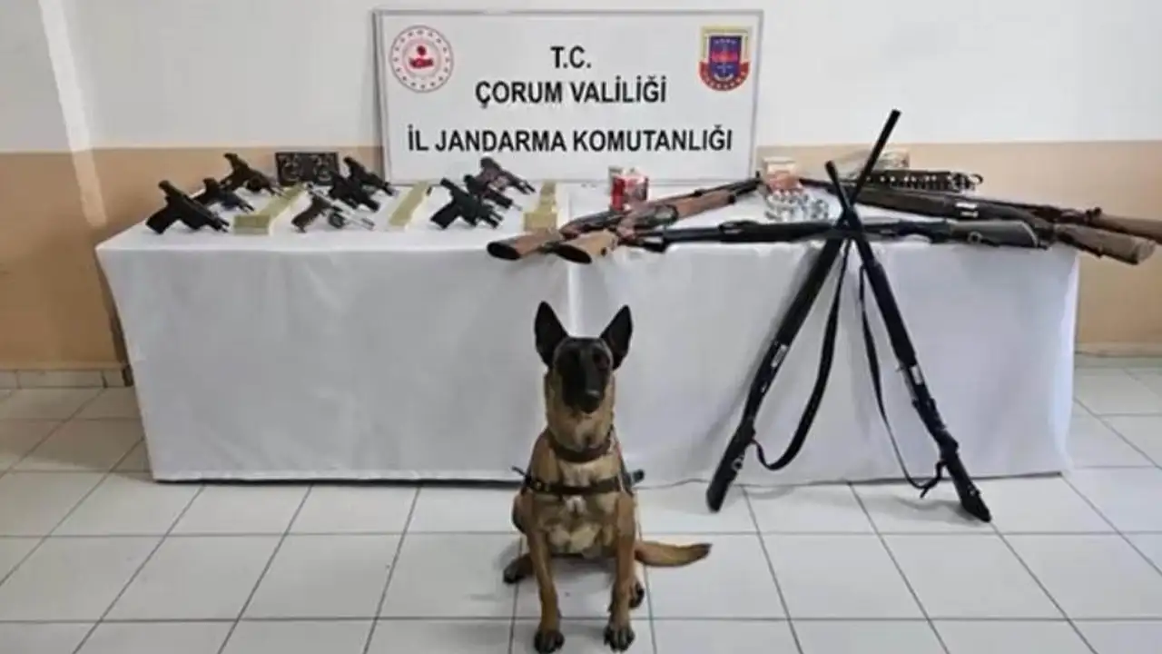 bakan-ali-yerlikaya-duyurdu-14-ilde-silah-kacakcilarina-darbe-202-gozalti