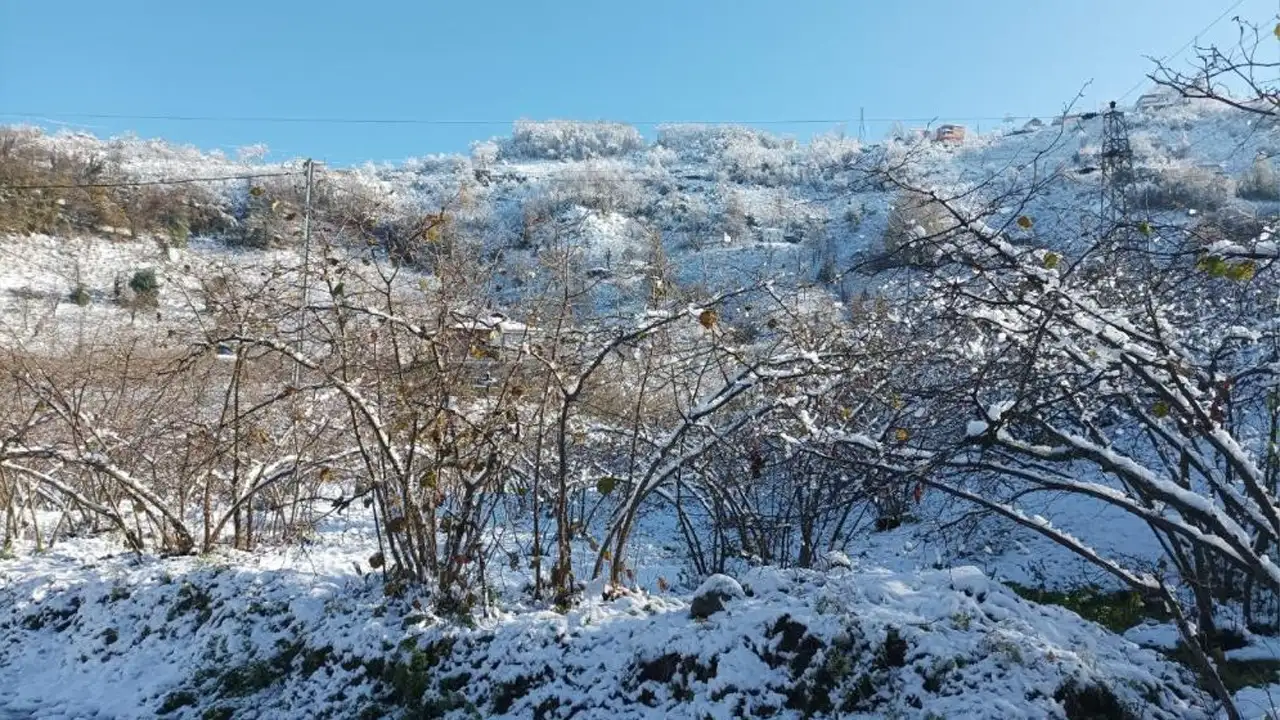 giresunda-mevsiminde-yagan-kar-findik-ureticisini-sevindirdi-rekolte-beklentisi-artti