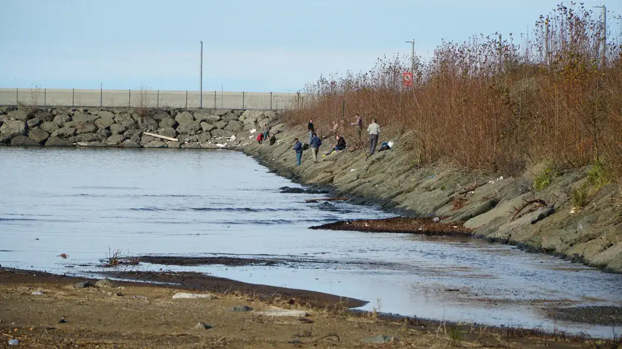 karadenizde-kafes-patladi-sahil-bir-anda-doldu