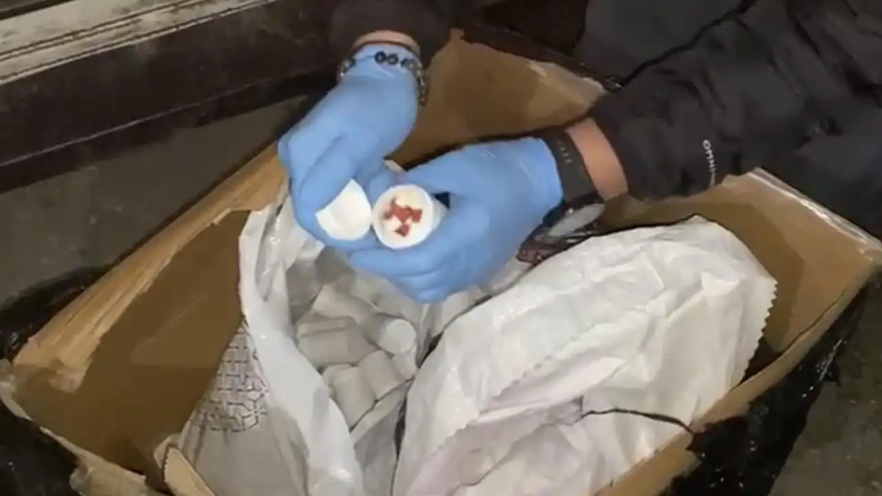 samsunda-zehir-operasyonu-236-bin-uyusturucu-hap-ele-gecirildi