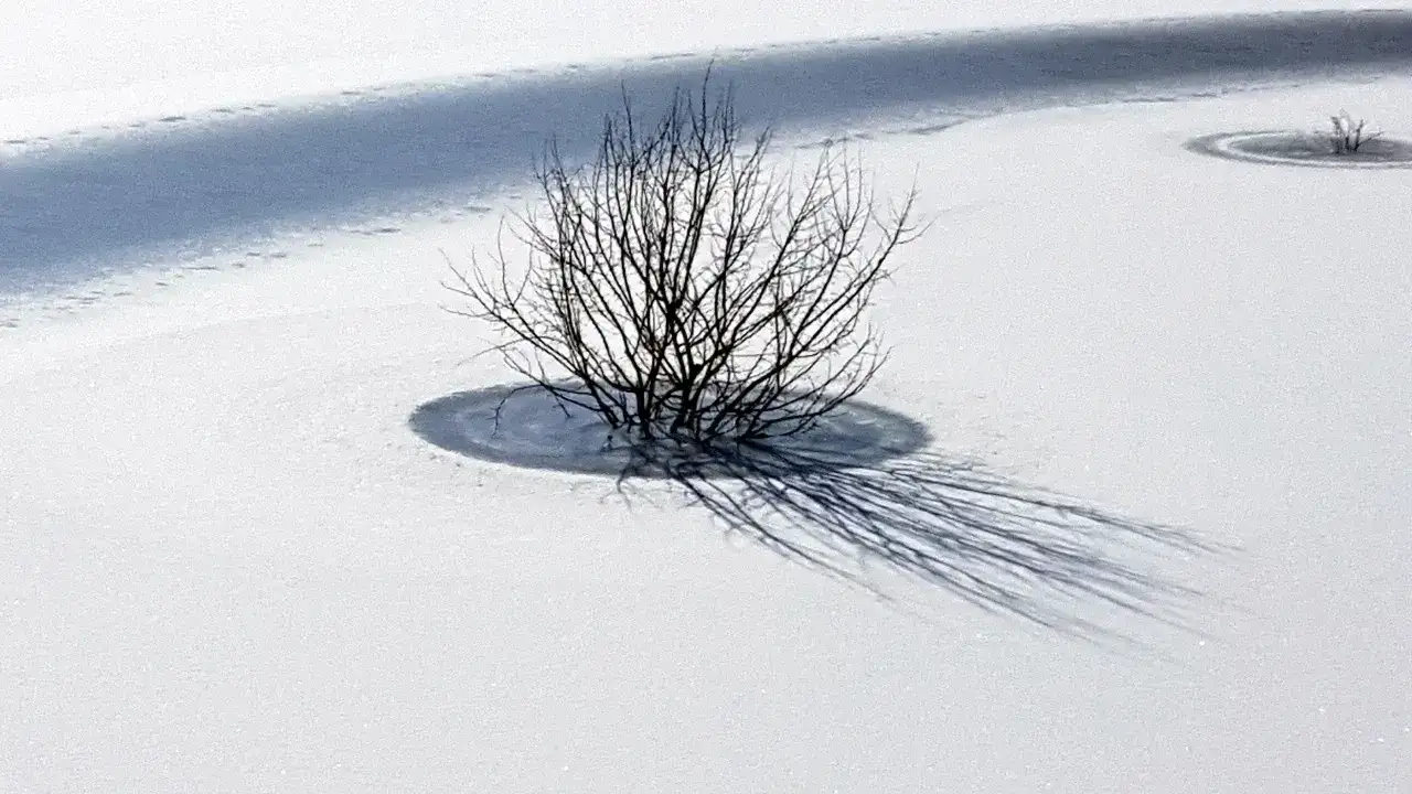 bayburt-icin-buzlanma-don-ve-cig-uyarisi-geldi