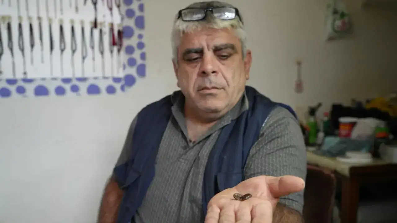 bayburtta-kehribarin-icinden-foseil-cikti