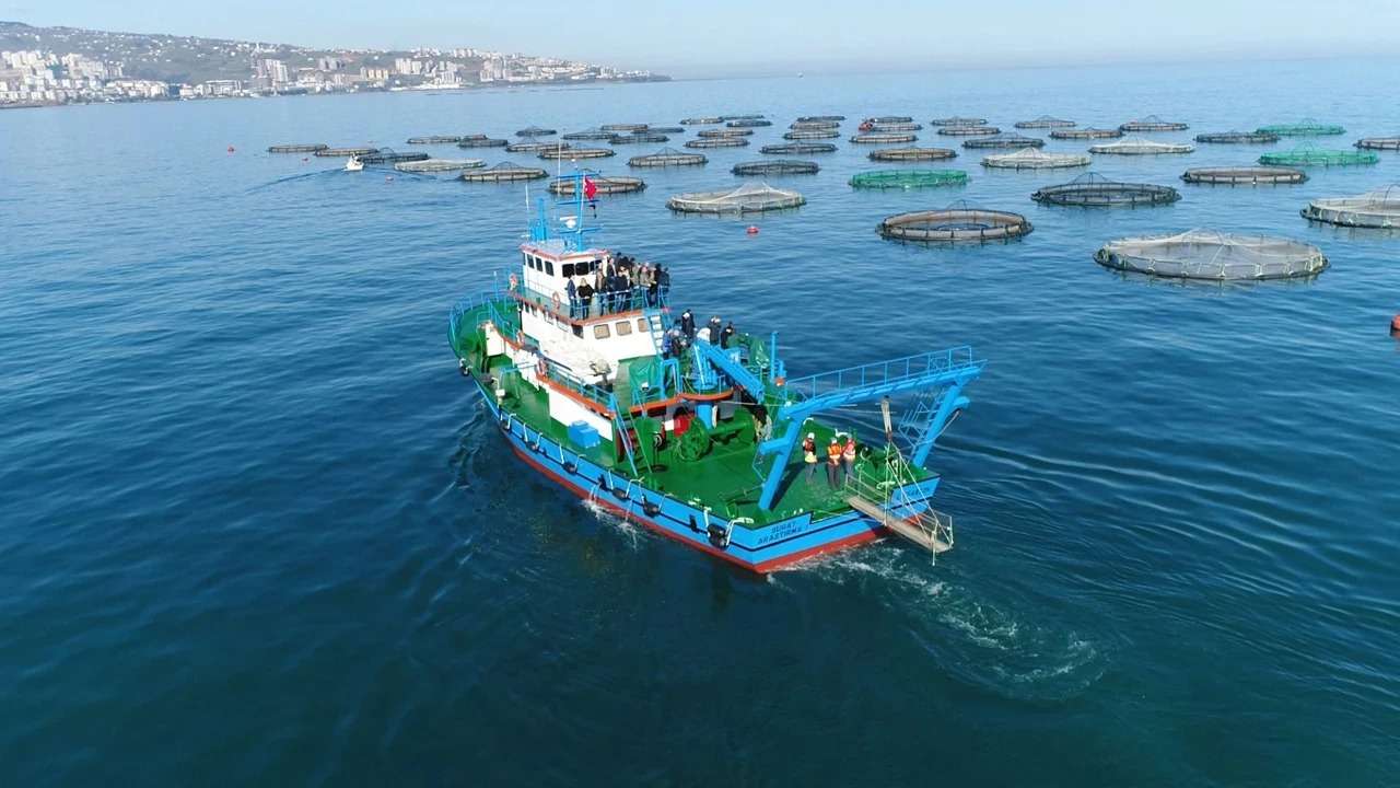 patlayan-ciftlikler-ve-yerli-somon-krizi