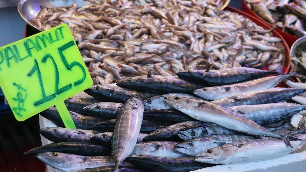 rizede-istavrit-tezgahlarin-yildizi-oldu-kilosu-100-lira