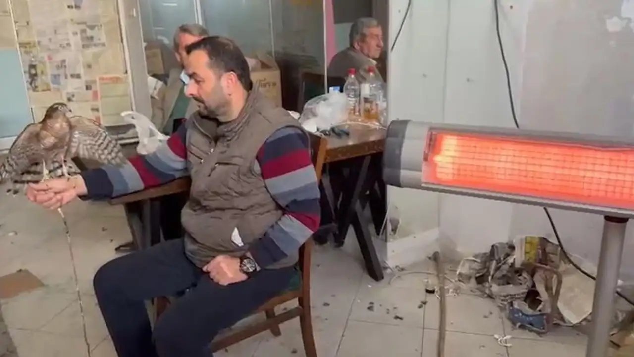 rize-ve-artvinde-yuzyillik-gelenek-atmacacilik-dogayla-uyum-icinde-suruyor