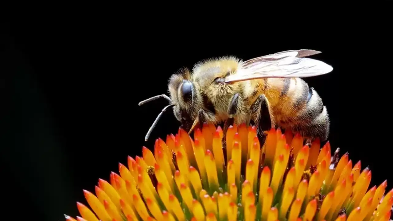 ruyada-ari-gormek-ne-anlama-gelir