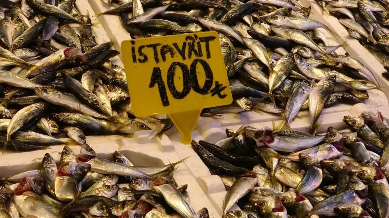 karadenizde-firtina-balik-avini-vurdu-iste-guncel-balik-fiyatlari