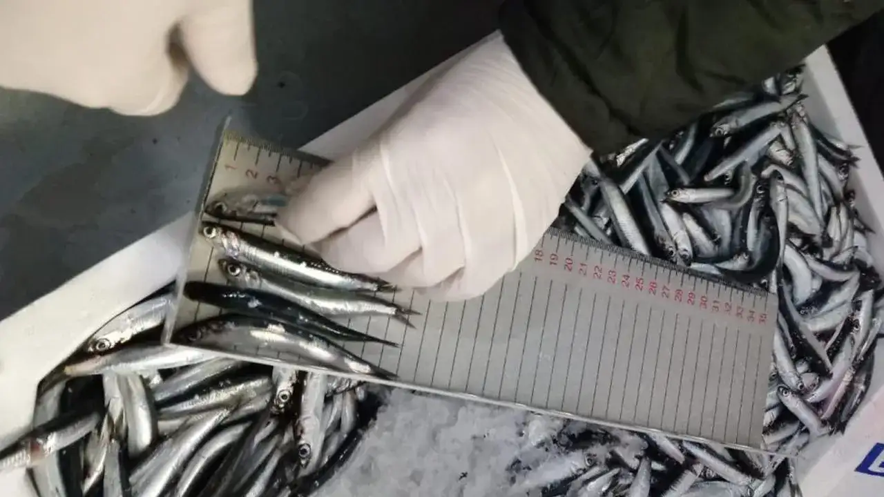 trabzonda-yasa-disi-avciliga-2025te-32-milyon-lira-ceza