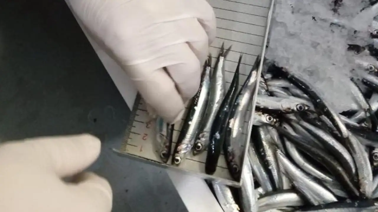 trabzonda-yasa-disi-avciliga-32-milyon-tl-ceza-43-kisiye-islem