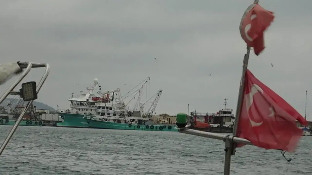 hamsi-turkiyeyi-terk-etti-hamsi-severler-dort-gozle-bekliyor